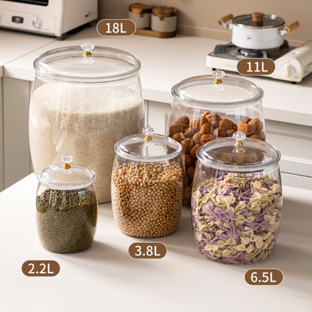 Große Transparente Plastikdose – Food Storage Containers Bewertung und Preis