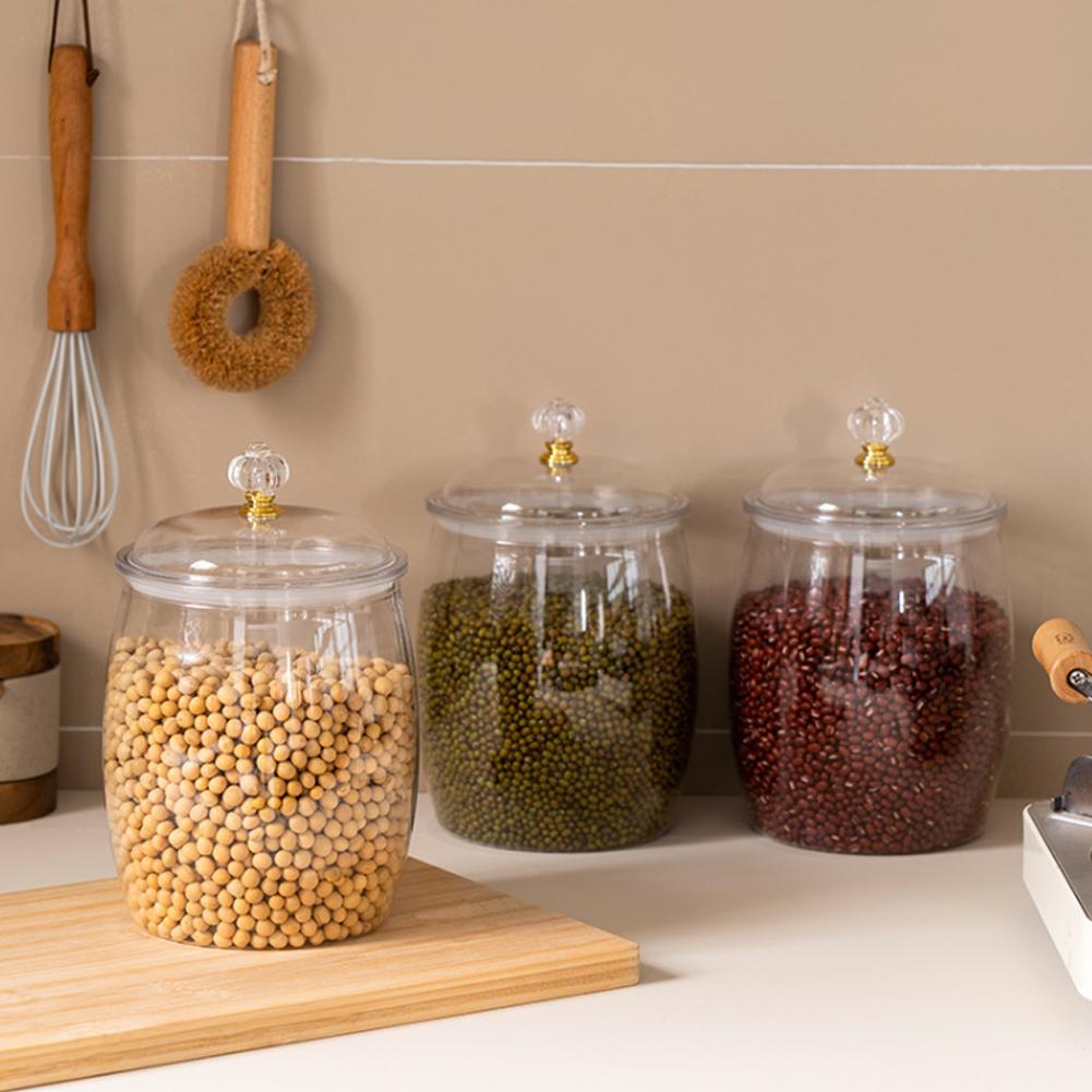 Große Transparente Plastikdose – Food Storage Containers Bewertung und Preis